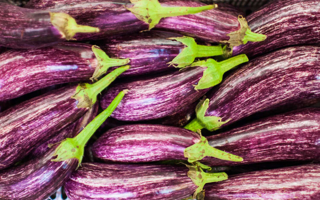 5 Reasons Why Your Penis Might Turn Purple