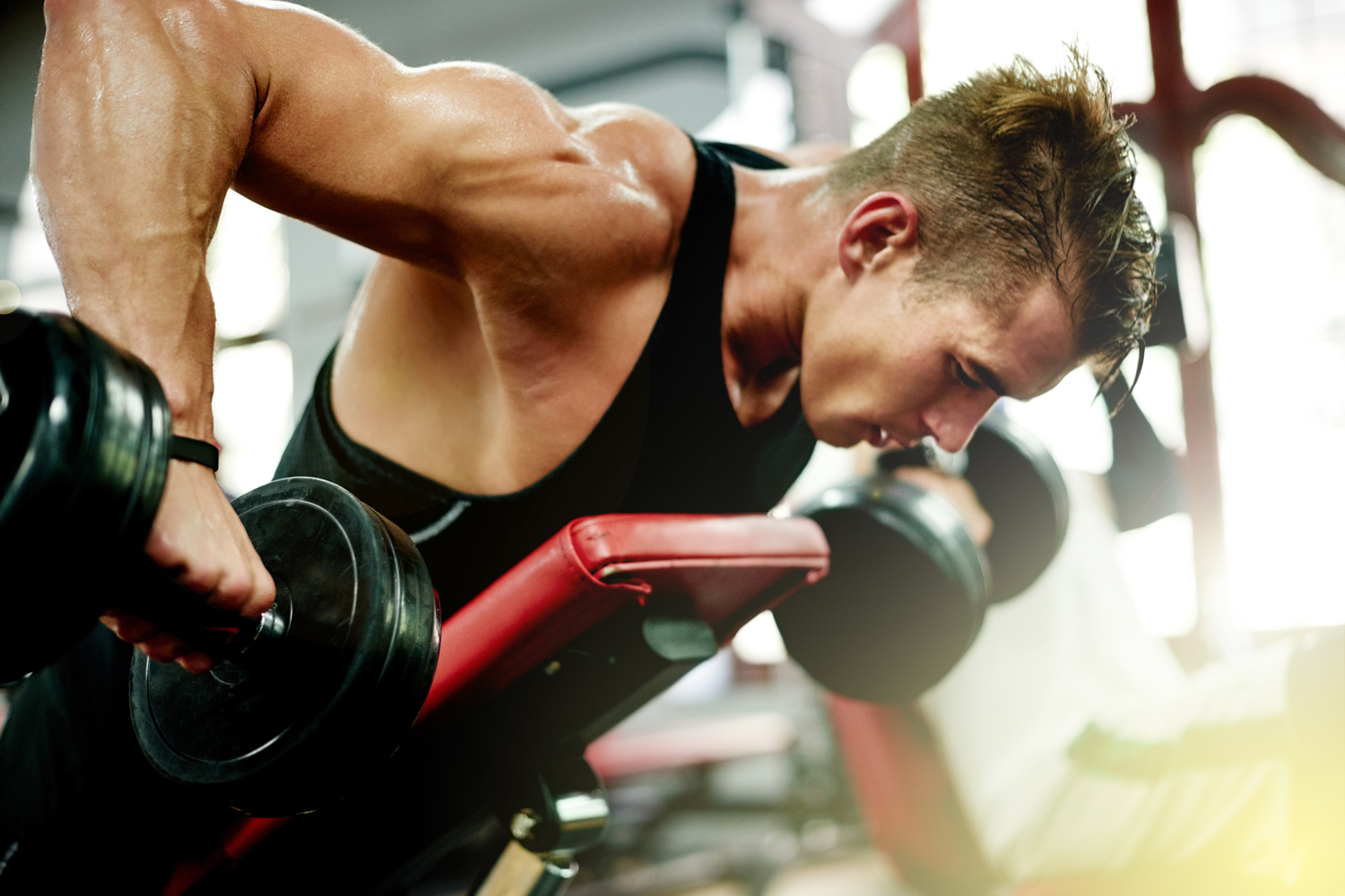 8 Basic Rules For Building Muscle