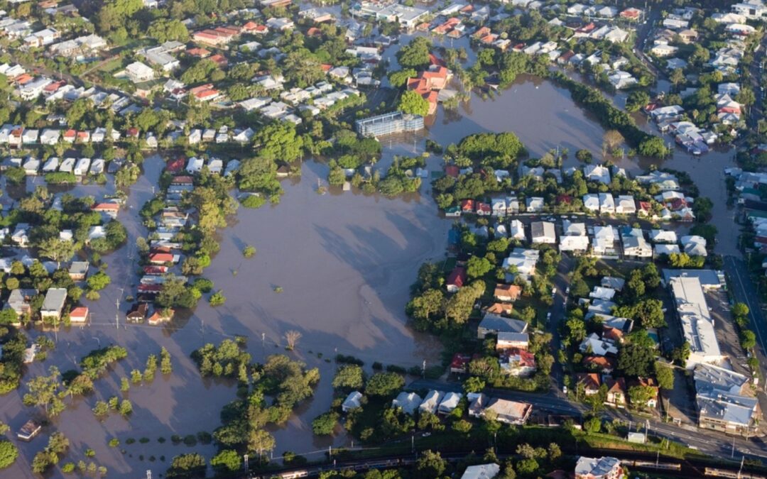 Here’s How You Can Help Those Affected By The NSW And Queensland Floods