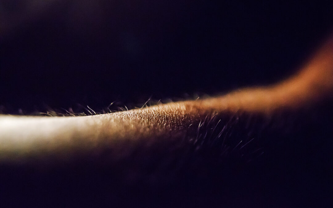 Spice Up Your Sex Life By Introducing These ASMR Turn Ons