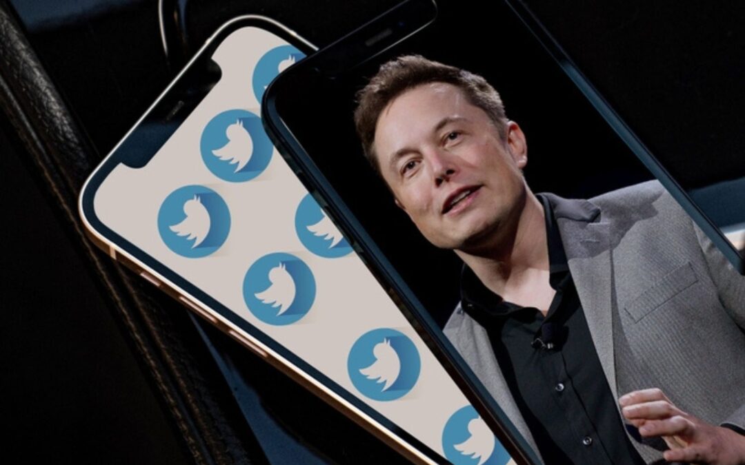 Elon Musk Is Considering Charging Verified Twitter Accounts $20 A Month