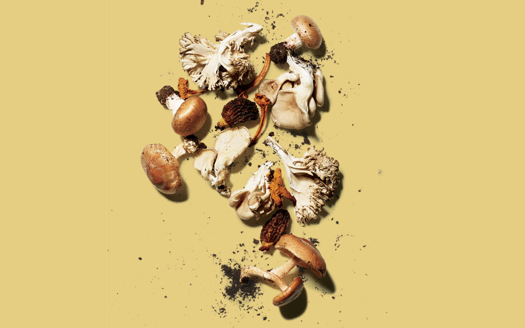 The Nutrition Snob’s Guide To Getting the Most Out of Mushrooms