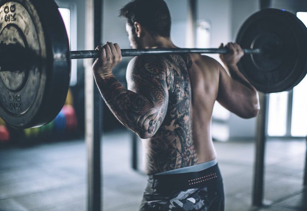 How much should you be able to back squat?
