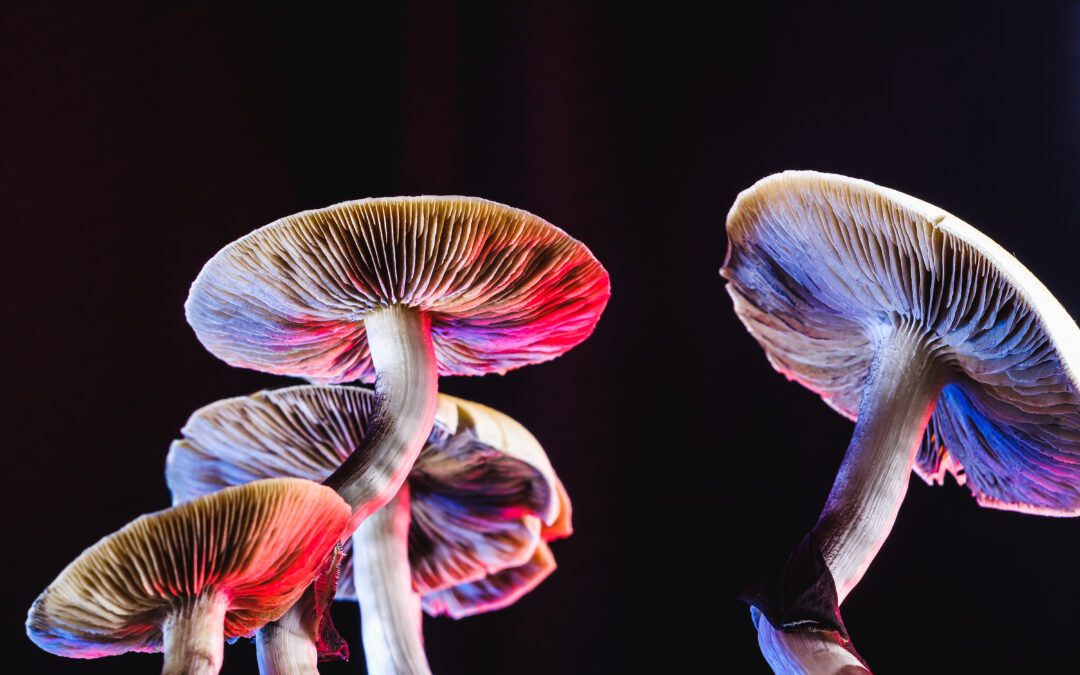 The power and possibility of psychedelic drugs to treat mental health