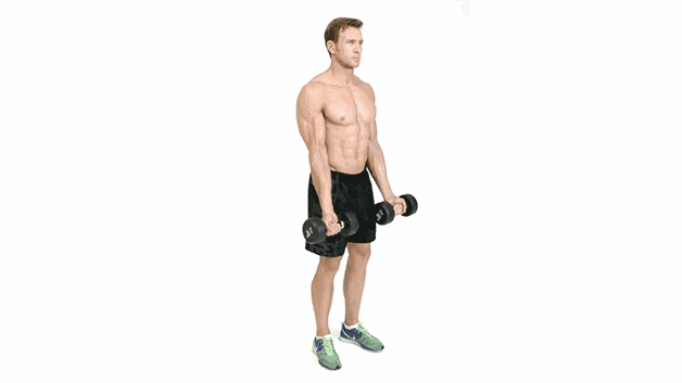 Best Bicep exercises